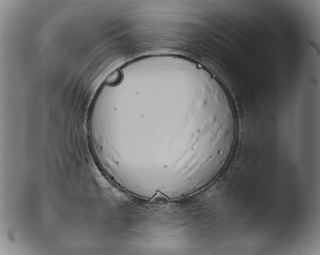 X0000103431189200809261723