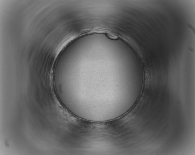 X0000103431190200809261723