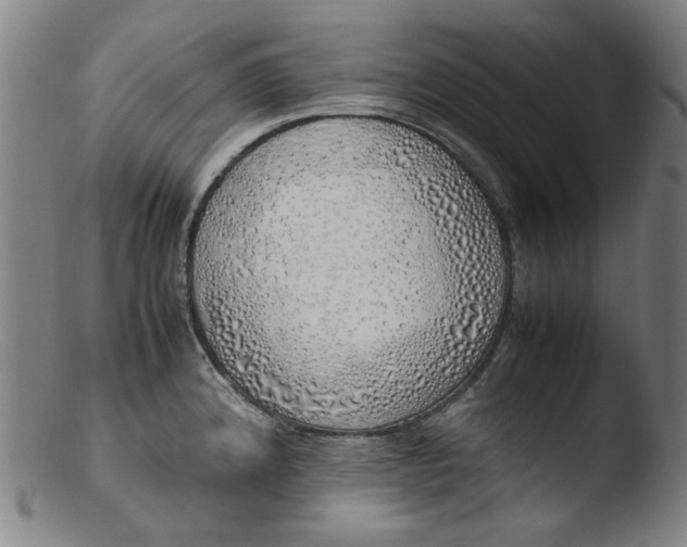 X0000103431192200809261723