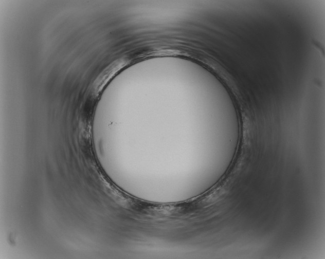 X0000103431193200809261723