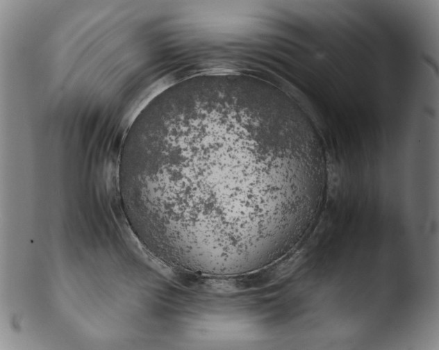 X0000103431194200809261723