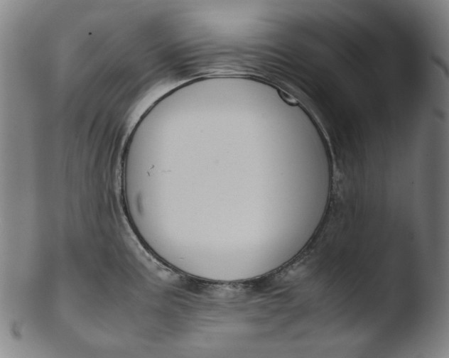 X0000103431195200809261723