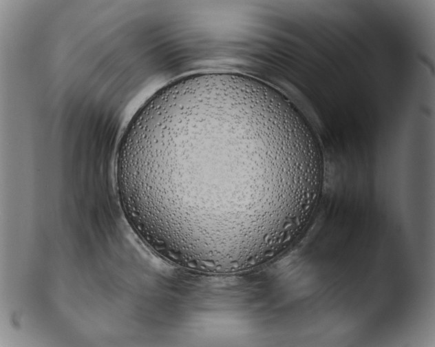 X0000103431196200809261723