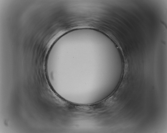 X0000103431197200809261723