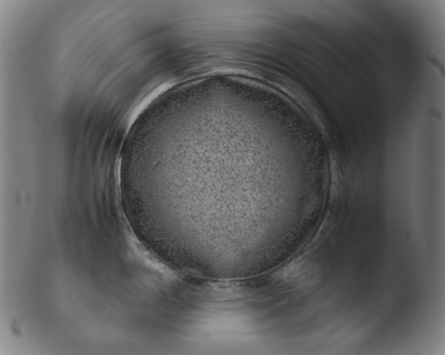 X0000103431198200809261723