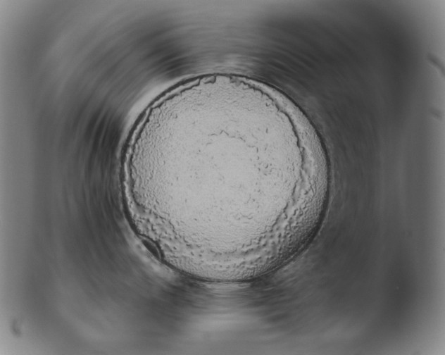 X0000103431200200809261723