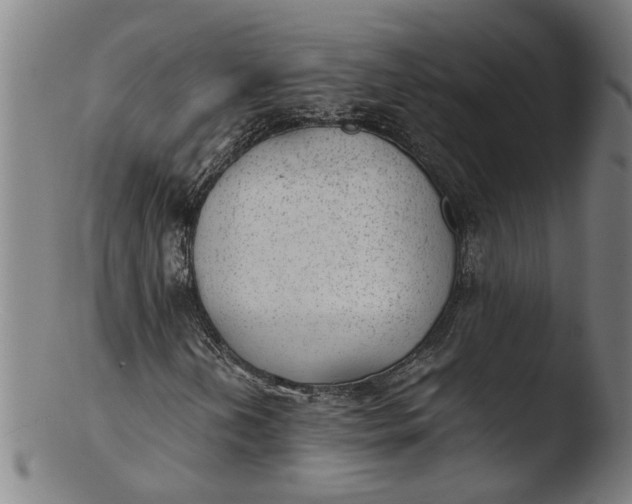 X0000103431202200809261722