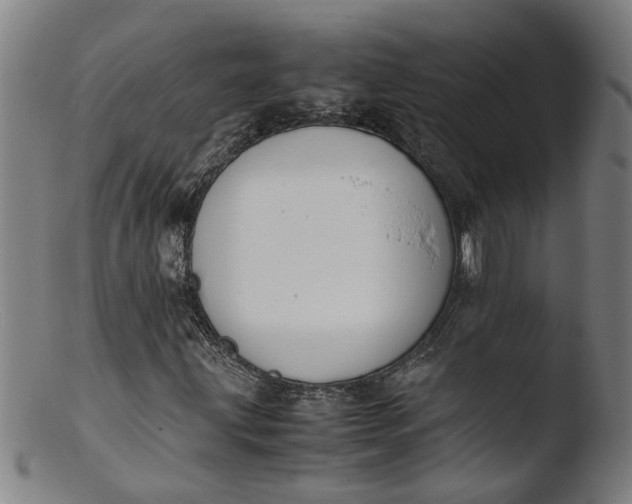 X0000103431203200809261722