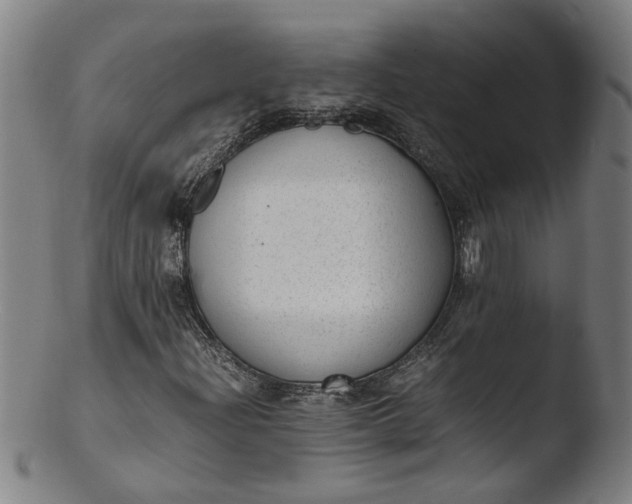 X0000103431204200809261722