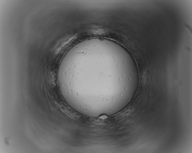 X0000103431205200809261722