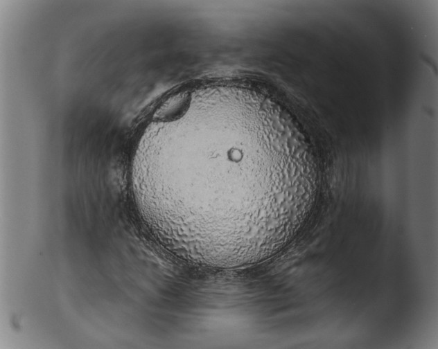 X0000103431206200809261722