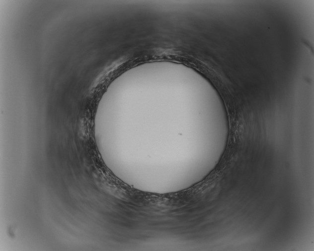 X0000103431207200809261722