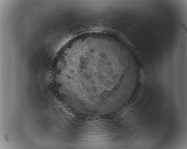 X0000103431208200809261722