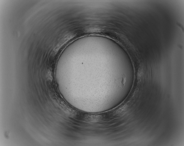 X0000103431209200809261722