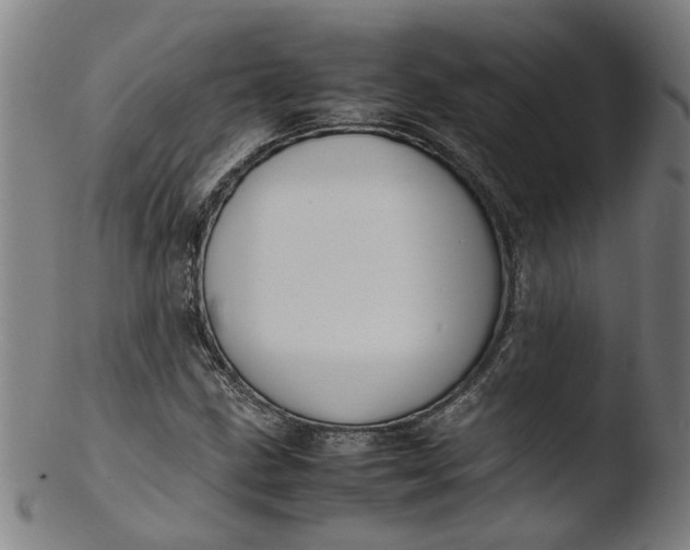 X0000103431211200809261722