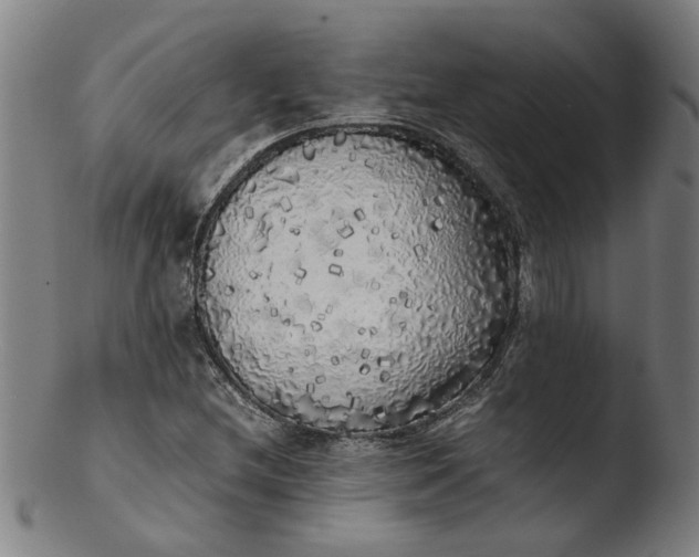 X0000103431212200809261722