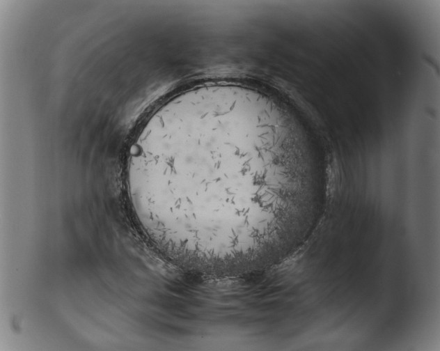 X0000103431213200809261722