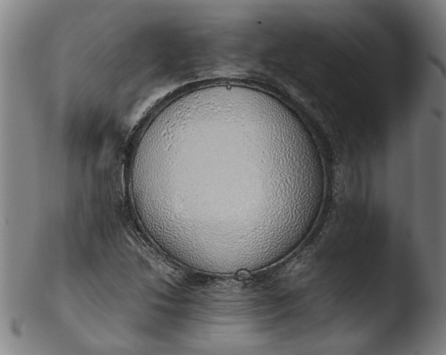 X0000103431214200809261722