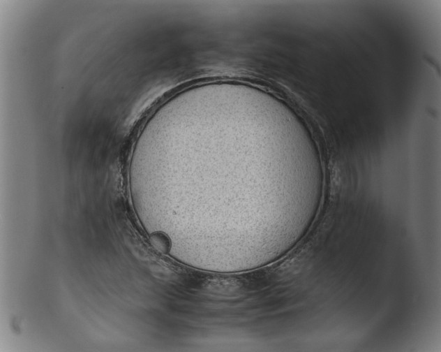 X0000103431215200809261722