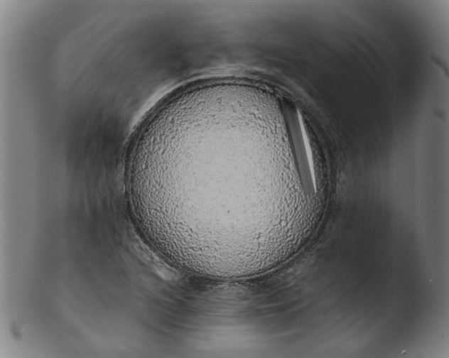 X0000103431216200809261723