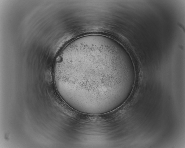 X0000103431218200809261723