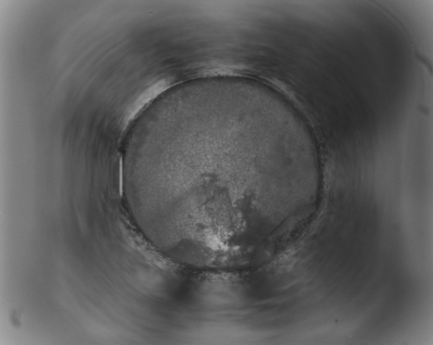 X0000103431219200809261723