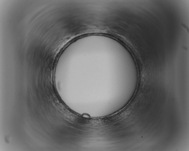 X0000103431220200809261723