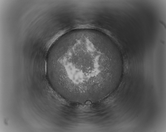 X0000103431221200809261723