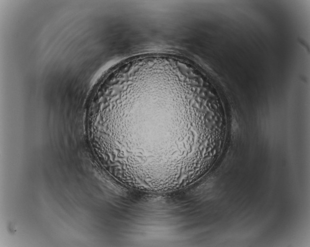 X0000103431222200809261723