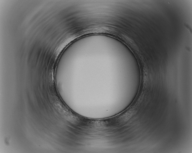 X0000103431226200809261723