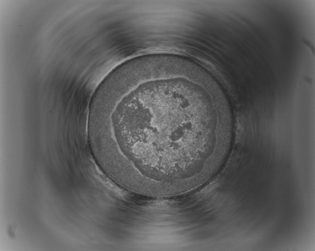 X0000103431228200809261723