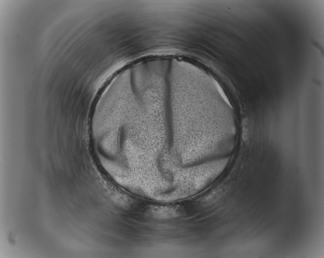 X0000103431229200809261723