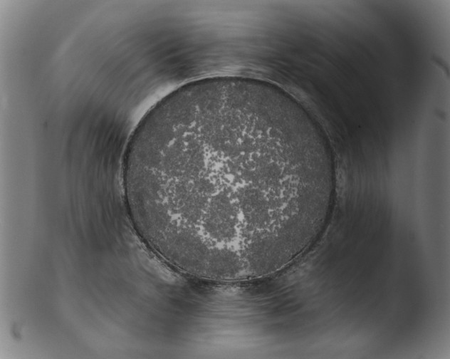 X0000103431230200809261723