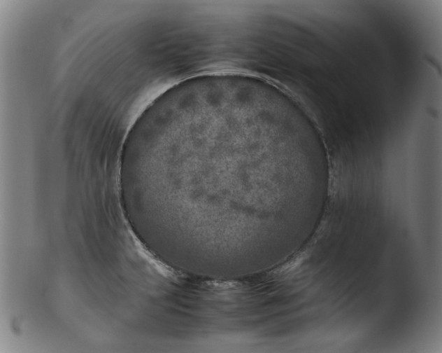 X0000103431231200809261723