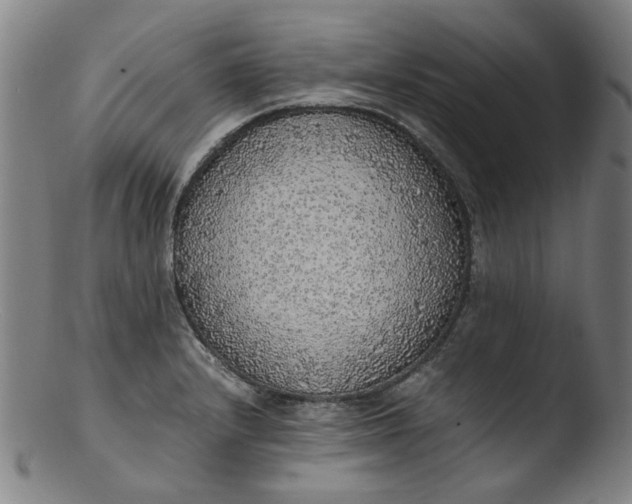 X0000103431232200809261723