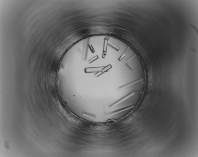 X0000103431233200809261723