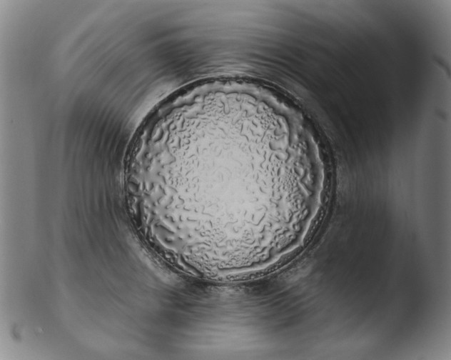 X0000103431234200809261723