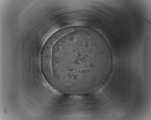 X0000103431235200809261723