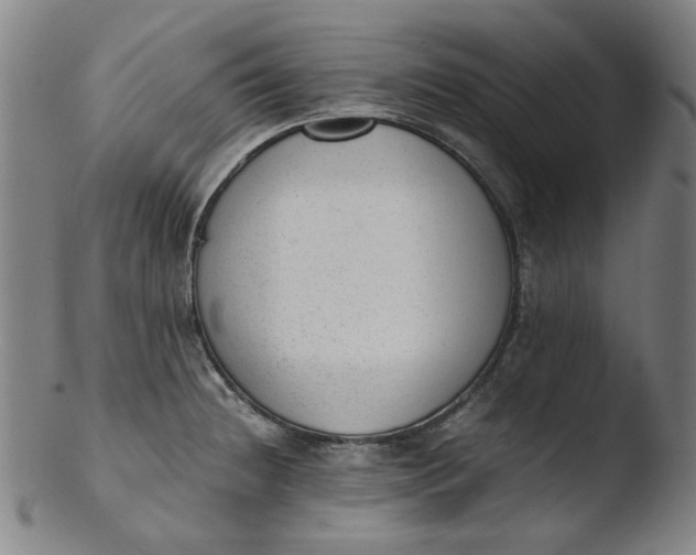 X0000103431236200809261723