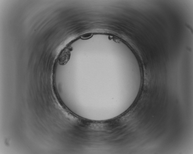 X0000103431237200809261723