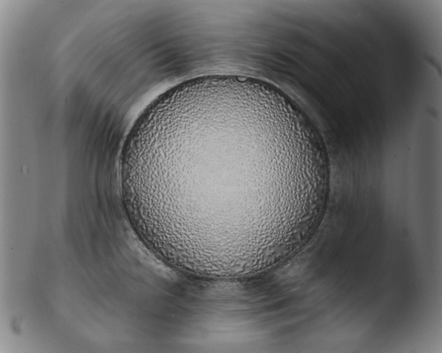 X0000103431238200809261723