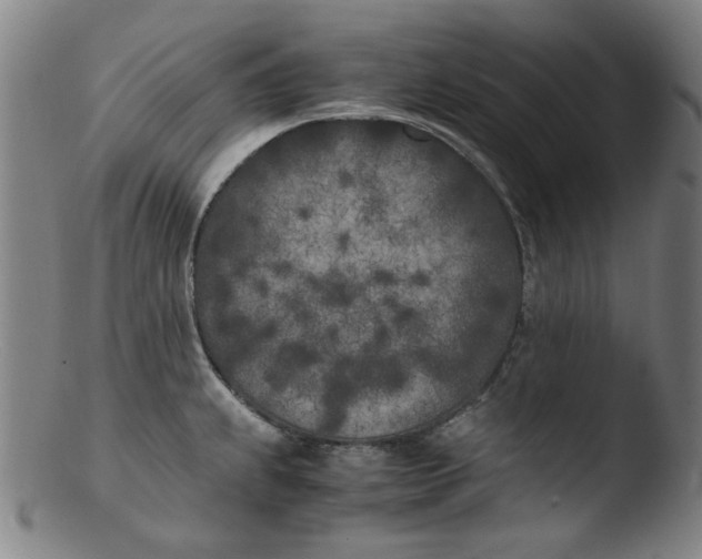 X0000103431239200809261723