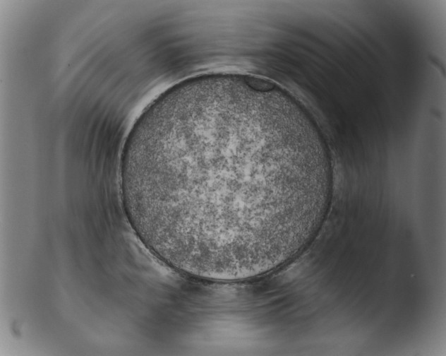 X0000103431240200809261723