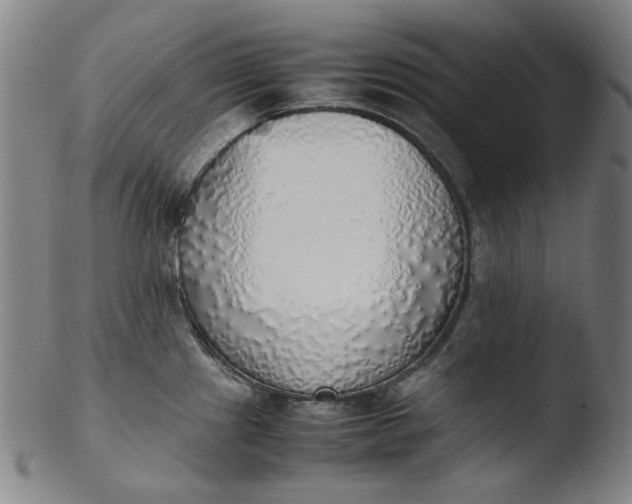 X0000103431241200809261723