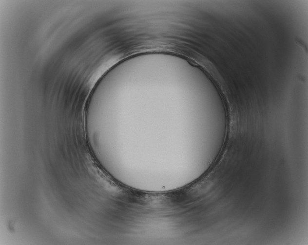 X0000103431242200809261723