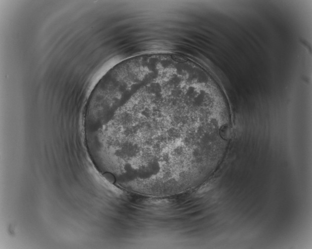 X0000103431243200809261723