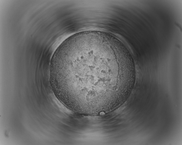 X0000103431244200809261723