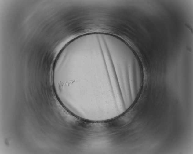 X0000103431246200809261723