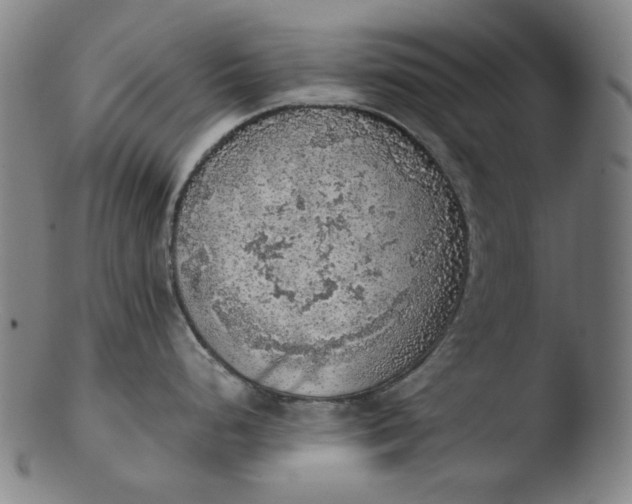 X0000103431248200809261723