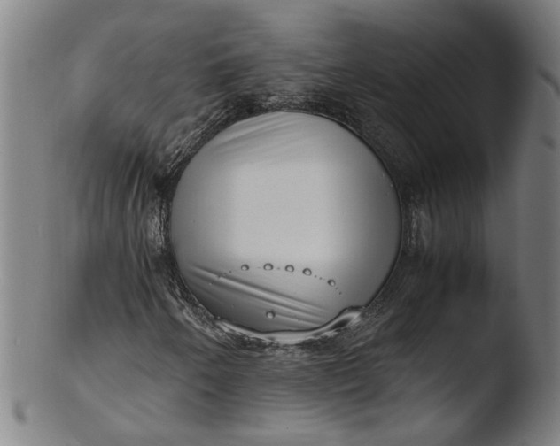 X0000103431250200809261722